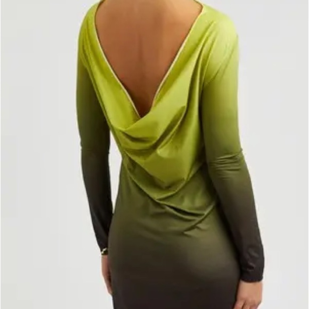 Gimaguas Green and Brown Long Sleeve Dress